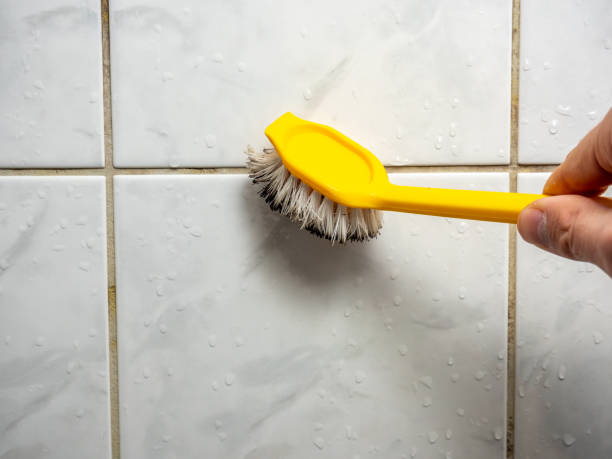 Best Water Damage Restoration  in Gwinn, MI